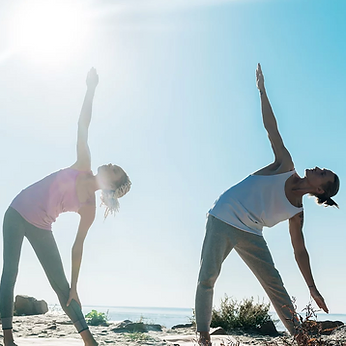 The Road To Wellness